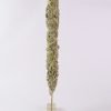 MULLEIN LEAVES WITCHES TORCH CANDLE