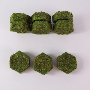 Hexa Rosemary Smudge